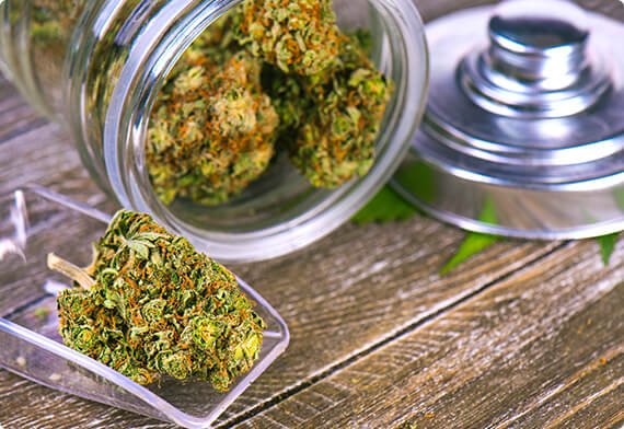 shutterstock_1015248148 copy